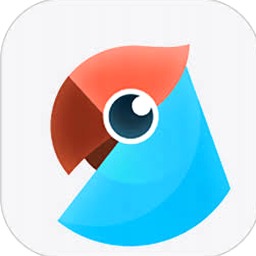 兔子声音mp3封面