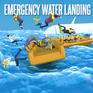 emergencylanding什么意思封面