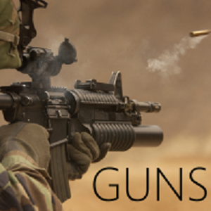 gun supplies封面