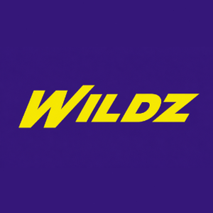 wilderless game download封面