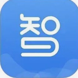 放智大师官网封面