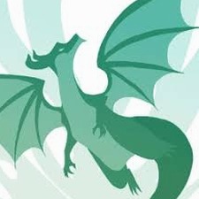 飞龙模拟3D中文版封面