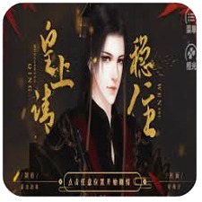 皇上请稳住男主叫啥小说封面