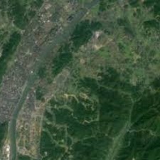 江山为聘封面