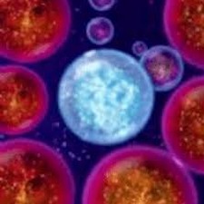 无尽宇宙 neoverse封面