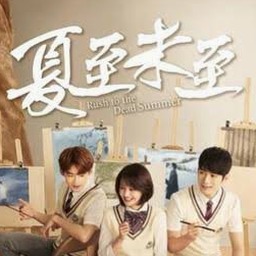 夏至未至电视剧免费观看完整版封面