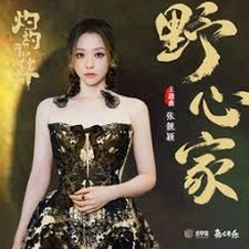 野心家 歌词封面