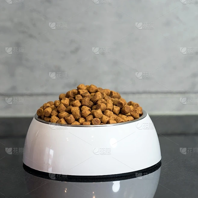 这碗狗粮有点甜读后感封面