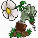 植物大战僵尸lz重制版修改器封面