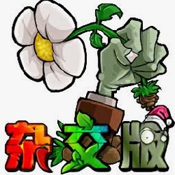 植物大战僵尸shuttle版安装封面