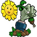 植物大战僵尸胆小菇之梦电脑版封面