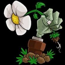 植物大战僵尸无名版下载封面