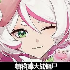 植物娘大战僵尸封面