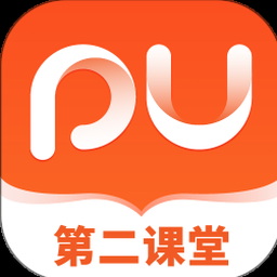 口袋莫蒂 攻略封面