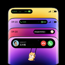 灵动岛英文封面