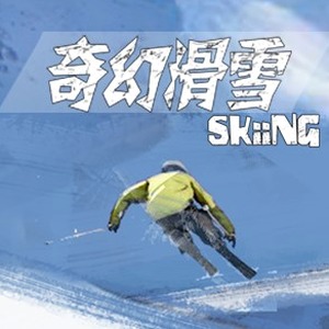 梦幻滑雪攻略封面