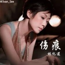 伤痕封面