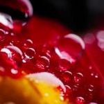 水滴封面