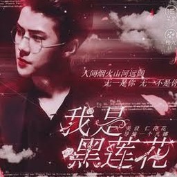 我是黑莲花exo橙光游戏破解版封面