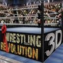 摔跤革命3d封面