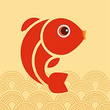 转发这只锦鲤视频封面